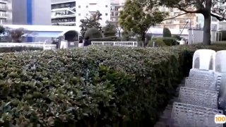 欧美老熟妇又粗又大 - 1080P手机免费观看完整